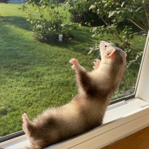 Meet your Posher, Olivia